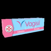 VAGISIL*crema derm 20 g 2%