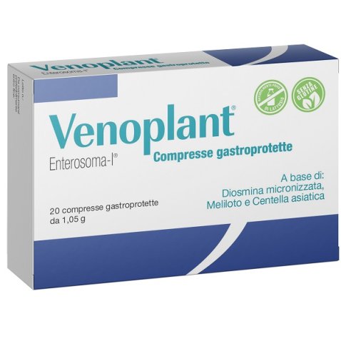 VENOPLANT 20 COMPRESSE VENOPLANT 20 COMPRESSE