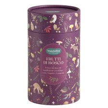 NEAVITA INFUSO FRUTTI DI BOSCO 10 FILTRI