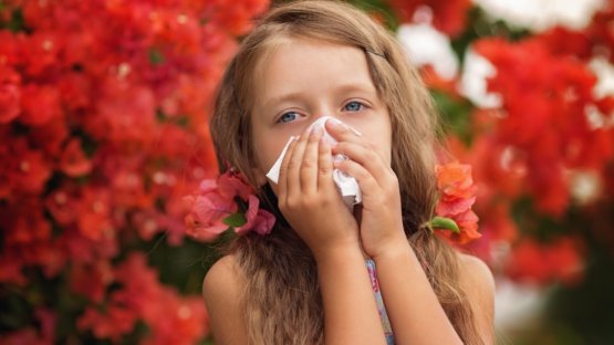 Le prime allergie in primavera
