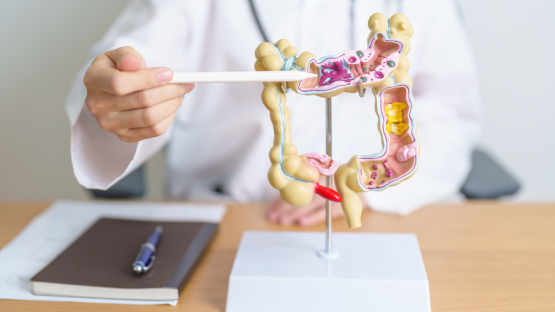 Come prevenire e gestire i problemi legati all’apparato digerente Come prevenire e gestire i problemi legati all’apparato digerente