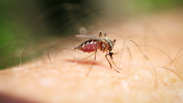 Come proteggere i più piccoli da caldo sole e punture